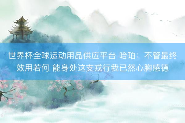 世界杯全球运动用品供应平台 哈珀：不管最终效用若何 能身处这支戎行我已然心胸感德