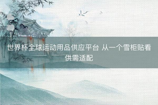 世界杯全球运动用品供应平台 从一个雪柜贴看供需适配