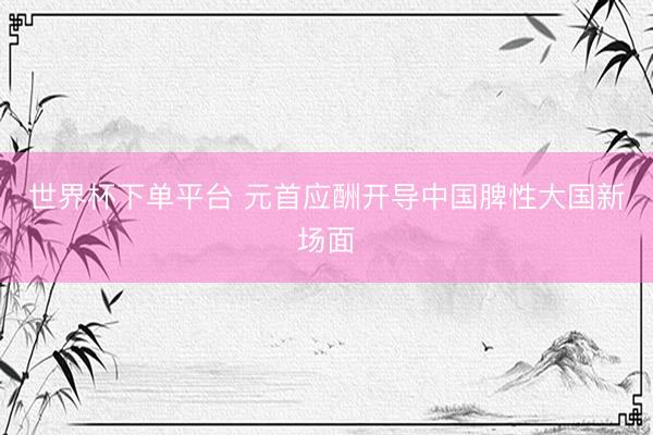 世界杯下单平台 元首应酬开导中国脾性大国新场面