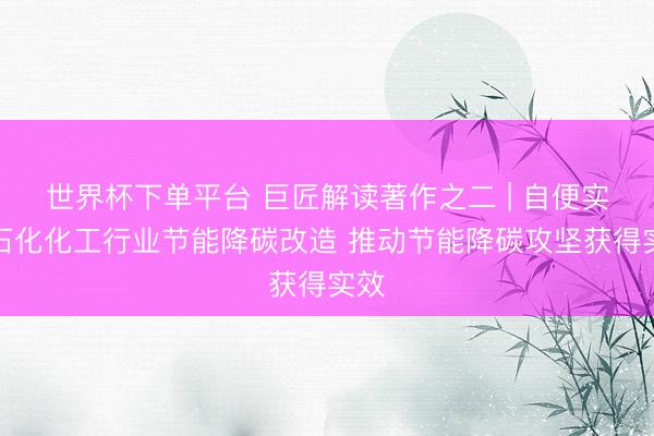 世界杯下单平台 巨匠解读著作之二 | 自便实施石化化工行业节能降碳改造 推动节能降碳攻坚获得实效