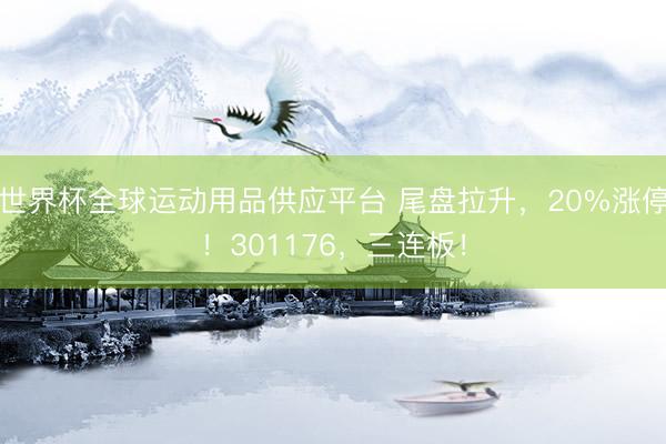 世界杯全球运动用品供应平台 尾盘拉升，20%涨停！301176，三连板！