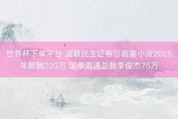 世界杯下单平台 国联民生证券总裁葛小波2025年薪酬203万 国泰海通总裁李俊杰75万