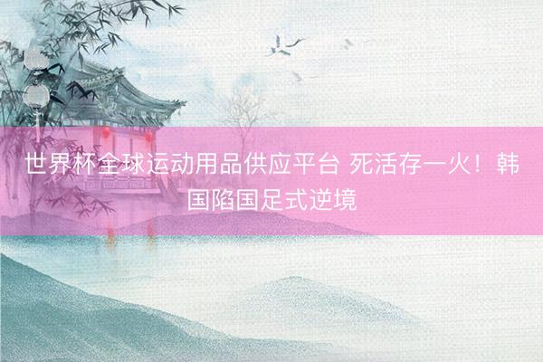 世界杯全球运动用品供应平台 死活存一火！韩国陷国足式逆境
